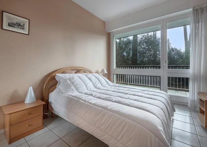 Dans Calme Pour 4 بورنيك